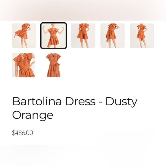 Secret Mission | Bartolina Dress - Dusty Orange NWT Size L​ - Picture 6 of 6